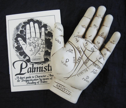 Palmistry Hand Model Resin Sculpture for Fortune Telling with Booklet