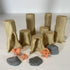 Beech Trees Set of 2
