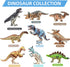 SAURAWAN 1-3 3-5 5-7, Allosaurus Wind Up Dinosaur Toys for Kids Realistic Dino Easter Wind Up Toy, Novelty Jumping