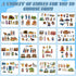 Windkream 16 Pack Sets 16 Felt Board Story Flannel Felt Story Board Pieces with a Multi Functional Pieces Storage