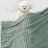 3D Cozy 30 40 Inch HOMRITAR Flannel Fleece Baby Blanket for Unisex Sage Green Super Soft Plush Toddler Blanket