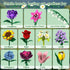 Set kiothdre Flower Bouquet for Adults, Botanical Collection Building Block Toy with Roses Sunflower for Teen Girls