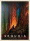 MyPuzzle Sequoia National Park: Nature's Cathedral, Vintage Poster - Premium 1000 Piece Jigsaw Puzzle for Adults