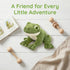 6.2 Inch Tiny Heart Cute Green Frog Plush Toy, Realistic Small Frog Kawaii Lifelike Super Soft Plush Stuffed Animal