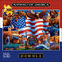 Buffalo Games - Eric Dowdle - Animals of America - 300 Piece Jigsaw Puzzle for Adults 14 and up Challenging Puzzle Perfect for Game Nights - Finished Puzzle Size is 21.25 x 15.00