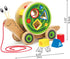 Award Winning Hape Walk-A-Long Snail Toddler Wooden Pull Toy, L: 11.9, W: 4.4, H: 7.3 inch