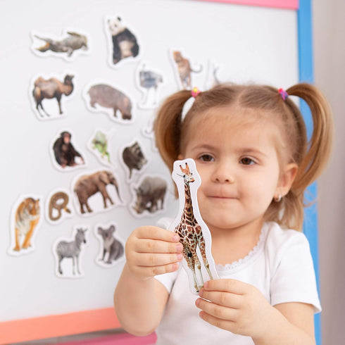 19 Fridge Magnets for Toddlers, Zoo Photo Kids Magnets for Refrigerator, Animal Magnets