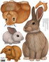 Bunny Rabbit Woodland Forest Animals Kids Wall Decals - Baby Nursery Toddler Room Wall Decor, DIY Decoration