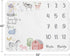 Sweet Jojo Designs Farm Animals Boy or Girl Milestone Blanket Monthly Newborn First Year Growth Mat Baby Shower Memory