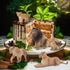 Toymany 6PCS Realistic Lion Figurines - Jungle Animals Family Set with Baby Lions, Educational Toy for Kids
