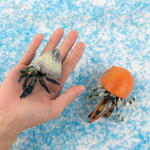 Framendino 4 Pack , Realistic Sea Animals Hermit Crab Model for Home Decorations