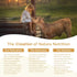 100% 25% Immune 30 Natura Bovine Colostrum Powder Pure, First Milking All-Natural IgG Grass-Fed & Pasture-Raised Gut