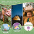 Children's Scavenger Hunt: Camping Edition - Outdoor Games for 2, 3 Year Olds & Up, Educational Activity
