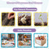 CHEFAN Sequence Cards, Game for Kids, Spark Cards for Storytelling and Speech Therapy, Special Education