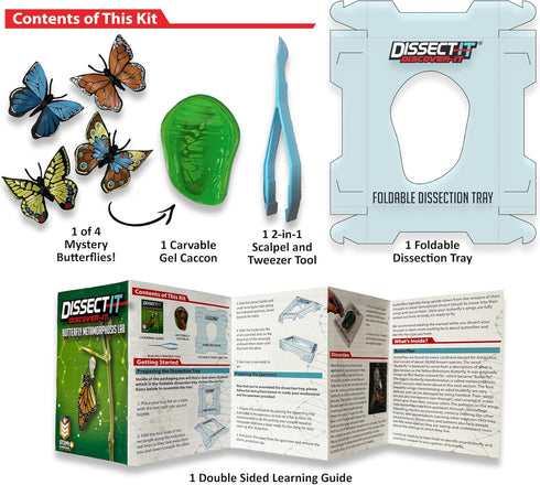 Dissect-It Discover-It Synthetic Butterfly Metamorphosis Lab STEM Toy for Young Scientists