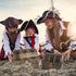 Lingway Toys Kids Pirate Treasure Chest, Teacher's Favorite Storage Box with 2 Sets of Locks and Keys (Vintage Bronze)