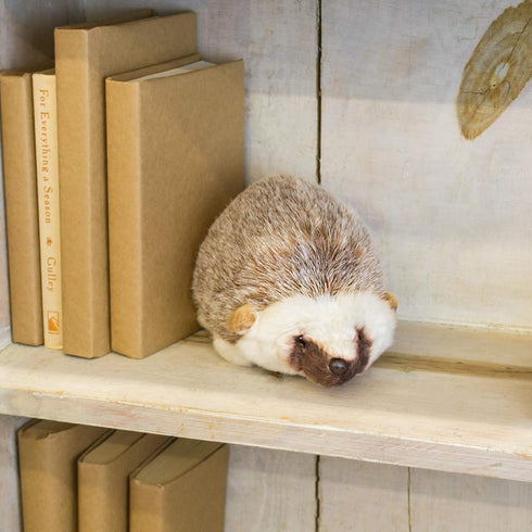 DEMDACO Huddled Small Hedgehog - Wispy Chestnut Children's Plush Stuffed Animal