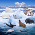 12PCS 4-7" Set Toymany Large Polar Animals Figurines, Plastic Arctic Animal Toy Preschool Includes Polar