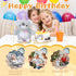 Happy Birthday Interactive Koala, Musical Birthday Stuffed Animal Recording Mimicking Toy, Clapping Activates Singing
