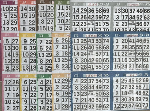 The Ticket Gurus Bingo Paper Game Cards, 4 Cards, 10 Sheets, 50 Books, 8 Inch Square Size