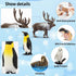 Toymany 14PCS Tiny Polar Animal Figurines, Plastic Arctic Animal Set for Kids Birthday Party Gifts