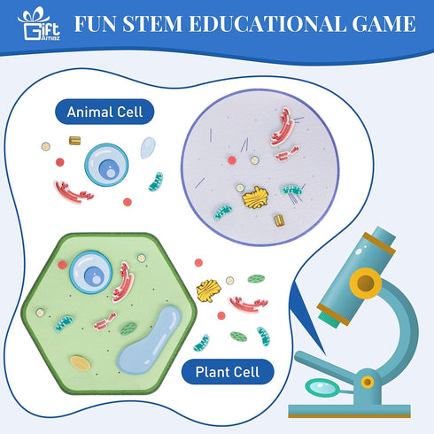 Animal and Plant Cell Anatomy Model, Soft Felt Toy for Early Cell Biology