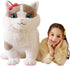 Giant Ragdoll Cat Stuffed Animal Plush Toy, Jumbo 26" Cute Plushie, Birthday Gifts for Kids