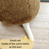 FRANKIEZHOU Realistic 11.8" Brown Quokka Plush Toy Soft Kawaii Stuffed Animal for Kids