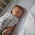 192 Count 28"x 52" mushie Extra Soft Muslin Fitted Crib Sheet | Thread | (Blue Flowers)