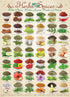 (1000-Piece) EuroGraphics Herbs and Spices Puzzle