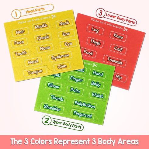 35 Pcs Body Parts Felt Board Set for Kids Preschool Learning Interactive Educational Storytelling Play Kit