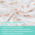 2 Pack 28" 52", 100% American Baby Company Fitted Crib Sheets x Soft Breathable Neutral Cotton Jersey Sheet, Sparkle