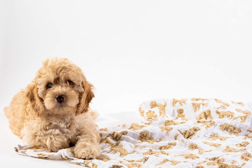 Mud Pie Golden Doodle Print Baby Swaddle Blanket, 47" x 47"
