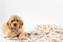 Mud Pie Golden Doodle Print Baby Swaddle Blanket, 47" x 47"