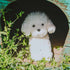 White Toy Poodle Stuffed Animal Dog, Plush Toy for Kids and Babies, Perfect Birthday & Easter Gift, 12.6"
