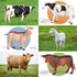 WAIIW Toddlers,23 Playset 3-5 Farm Animal Toys for PCS Animal Toys with Realistic Animal Figurines,Tractor Toy