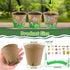 JYNTERPLAY 18 Pack 18 108 Spring Garden Paper Pot Craft Kit Include Pcs Paper Mache Pots and Pcs Adhesive Foam Stickers