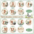 Novabright 7 Pack Mallard Duck Baby Shower Monthly Milestone Cards Signs Baby Announcement Sign Name Hello World