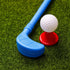 Homoyoyo Golf Set, Plastic Golf Clubs Kit for Indoor and Outdoor Fun, Early Educational Golf Game