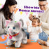 Cuteoy Walking Grey Cat Stuffed Animal, Talking Educational Plush Kitty Toy, Electric Interactive Animated Plushies for