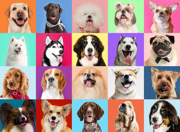 Eirenke Puzzles for Kids Ages 6-8 Cute Dogs - Multicolor Dogs, 200 Piece