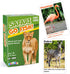 BenBen Go Fish Card Game for Kids, Jumbo Size Safari Animal Learning Cards, 104 Cards for 2-8 Players