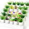 26Pcs Miniature Potted Plants, Mini Artificial Plants, 1:12 Scale Dollhouse Accessories for Decoration