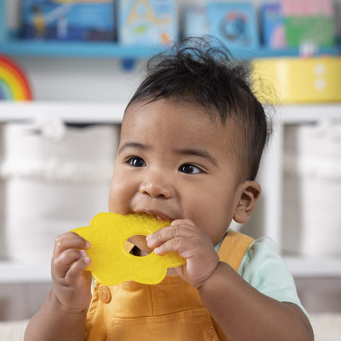Bright Starts Teeth Relief 8pc Gift Set, BPA-Free Baby Teethers, Refrigerated Teething Toys, Unisex, 3 Months+
