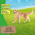 3 3+ 16395 schleich Farm World - Female Golden Retriever Figurine - Realistic Barnyard Dog Figure for Screen-Free Play