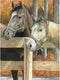 Royal Brush Color Pencil by Number Kit, 8.75 by 11.75-Inch, Buck's Pal