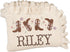Personalized Cowgirl Name Blanket, Custom Knit Baby Girl Blanket, Embroidered Western Infant
