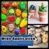 Glarks 34Pcs 15Pcs 2"-3" 12 6Pcs 1Pc Rock Painting Kit, Including Flat Painting Stones River Rocks, Colors Non-Toxic