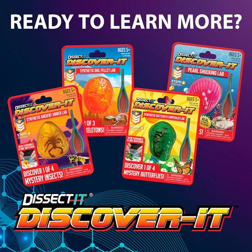 5 Discover-It Dissection Kit for Kids, Synthetic Amber Science Lab Kit to Learn About Insects, Science Toys for Kids