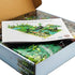 ZHX 2pcs Baseplates(10x10 inches Rainforest Jungle Bridge Building Block Toys with Each) Garden Bricks Accessories Bush